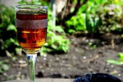 domácí brandy alkoholu se slivkami