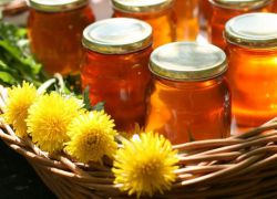 маслачак меду наноси штету и користи