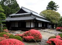 Къща в японски стил 9