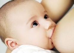 как да накарате млечната мазнина да кърми мама