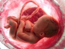 kako dojenček diha v maternici