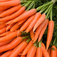 калории моркови сурово