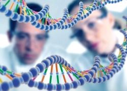 Koliko košta test očinstva DNA