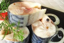 lahodnou nakládanou makrelu za 15 minut
