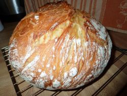 domači kruh v počasnem kuhalniku
