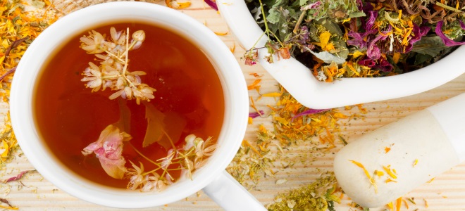 jak prawidłowo warzyć ziołową herbatę