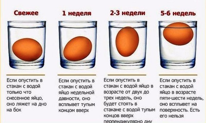 проверка на яйцата за свежест във вода 1