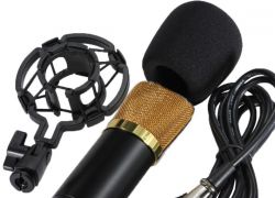 který karaoke mikrofon koupit