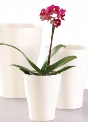 как да изберете пот за орхидеи 2