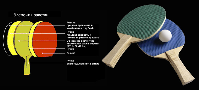 как да изберете ракета за тенис на маса