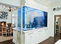 как да изберете аквариум за дома 1