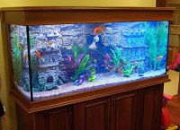 как да изберете аквариум за дома 2