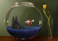 как да изберете аквариум за дома 3