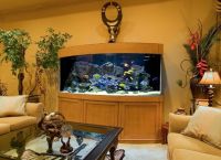 как да изберете аквариум за дома 4
