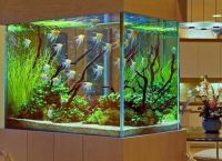 как да изберете аквариум за дома 6