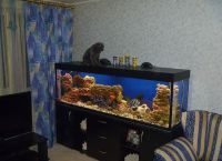 как да изберете аквариум за дома 9