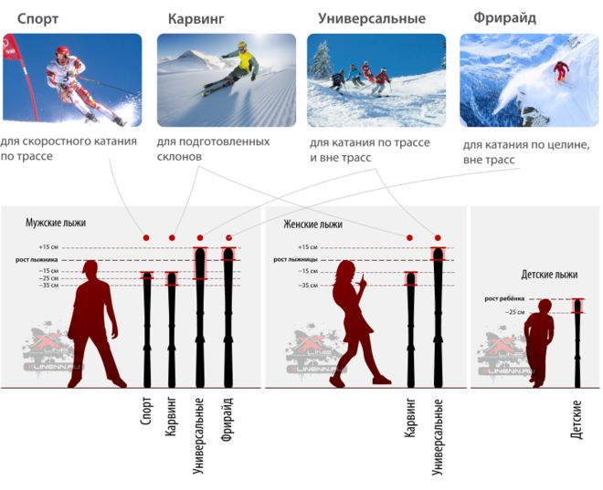 как да изберете ски
