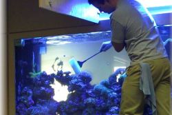 Как да почистите аквариума1