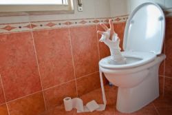Как да почистите запушването в тоалетната1