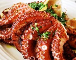 kolik vaří chobotnice