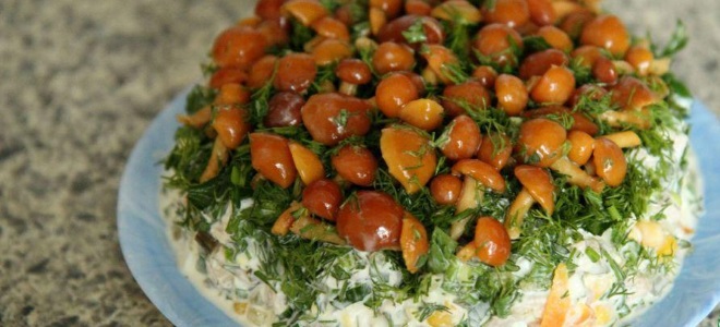 Salata s med agarima - recept
