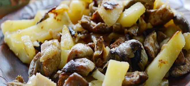 russula s receptem na brambory