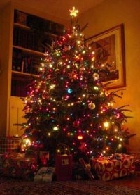 Како украсити оригинално божићно дрво8