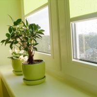 Како украсити прозор у кухињи2