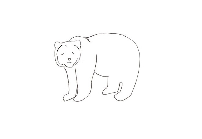 jak narysować niedźwiedzia 15