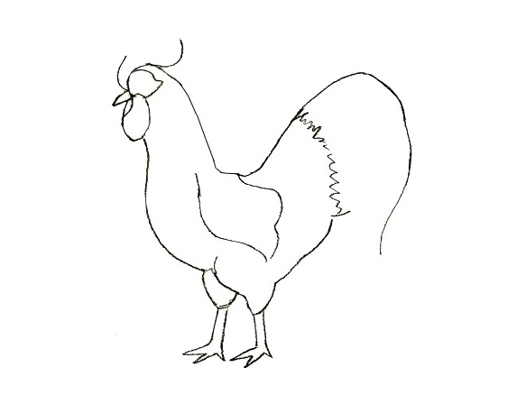 как да нарисувате птица 10