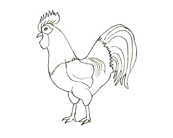 как да нарисувате птица 11