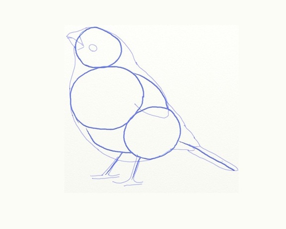 jak narysować ptaka 3