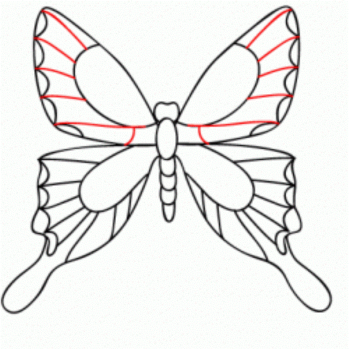 как да нарисувате пеперуда 14