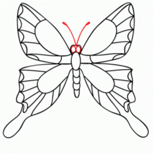 kako crtati leptir 15