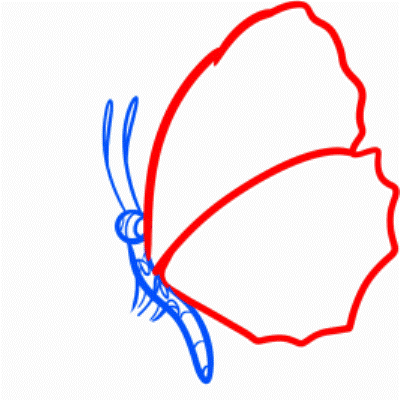 как да нарисувате пеперуда 19