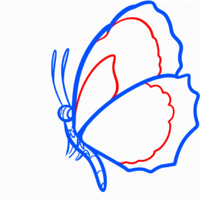 как да нарисувате пеперуда 20