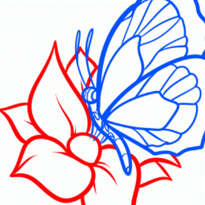 kako crtati leptir 22
