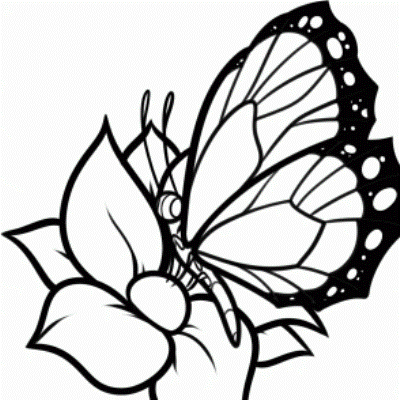 kako crtati leptir 23