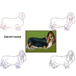 jak narysować psa dla dzieci 5