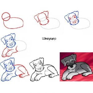 kako crtati psa za djecu 7