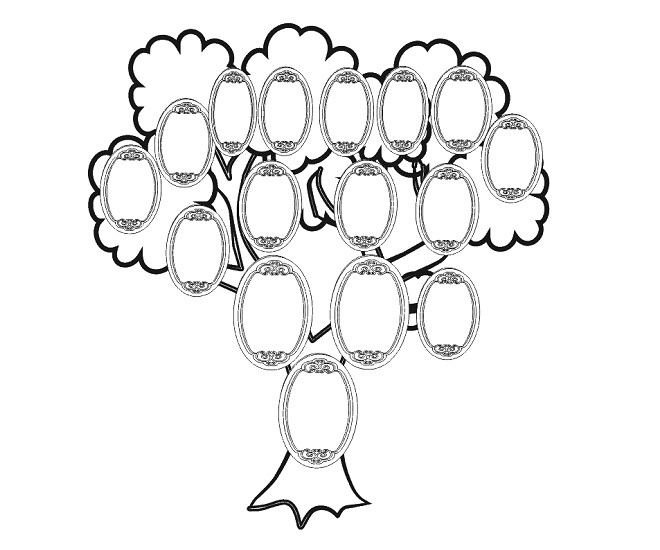 kako crtati generičko stablo u školi3