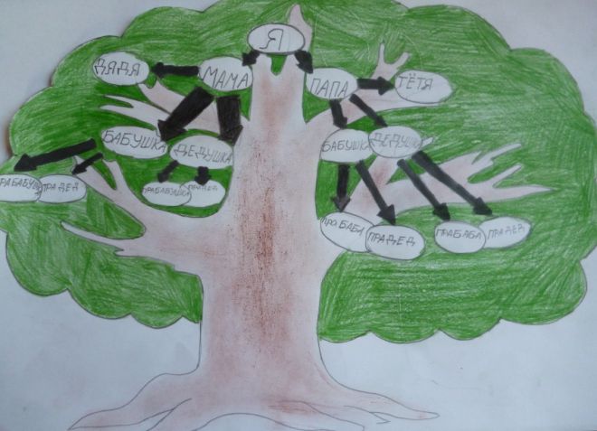 Kako nacrtati obiteljsko stablo u školi10