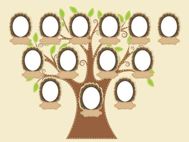Kako nacrtati obiteljsko stablo u školi11