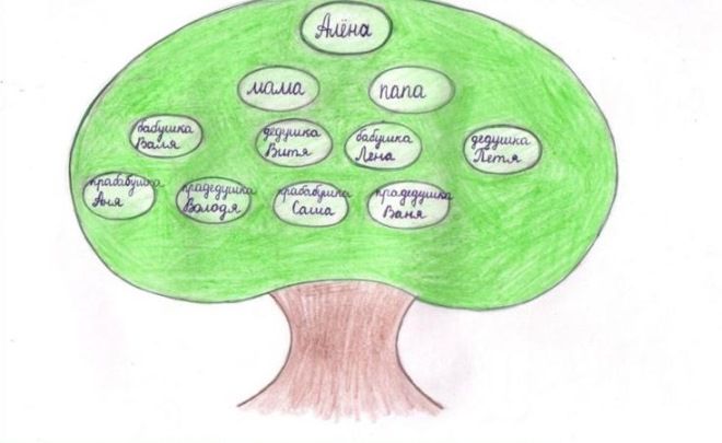 Kako nacrtati obiteljsko stablo u školi14