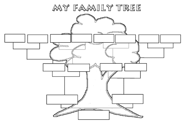 Kako nacrtati obiteljsko stablo u školi16