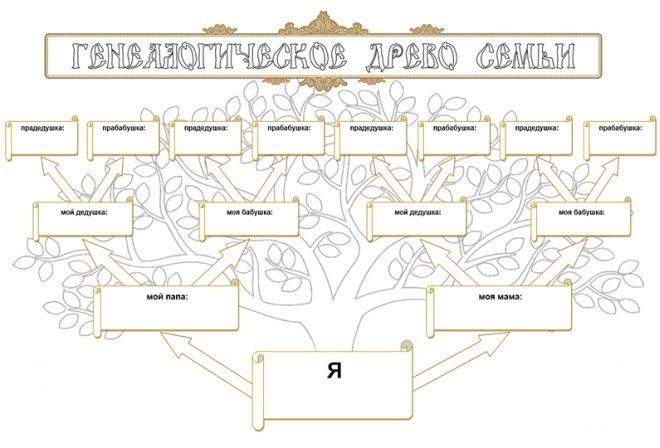 Jak narysować drzewo genealogiczne do szkoły17