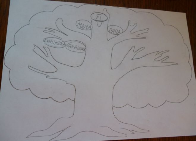 Kako nacrtati obiteljsko stablo u školi5