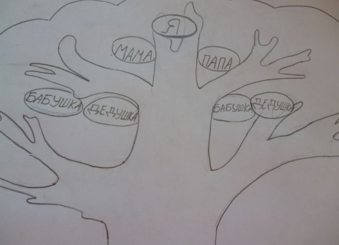 Как да нарисуваме семейно дърво в училище6
