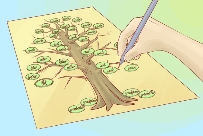 kako crtati obiteljsko stablo 5