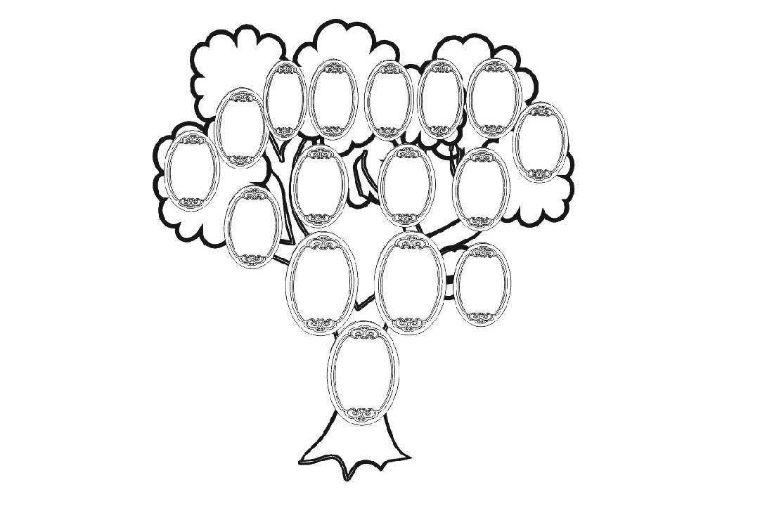 как да нарисуваме родословно дърво 8